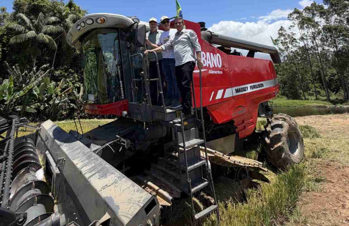 SC espera colher 1,2 milhão de tonelada de arroz em 2025/26