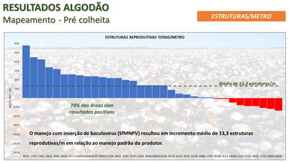 Figura 2. Média de incremento do número de estruturas reprodutivas do algodoeiro por metro linear dos talhões com inserção de Baculovírus em relação aos talhões sem inserção do Baculovírus = manejo do produtor). Fonte: AgBiTech (dados auditados pela SGS do Brasil).