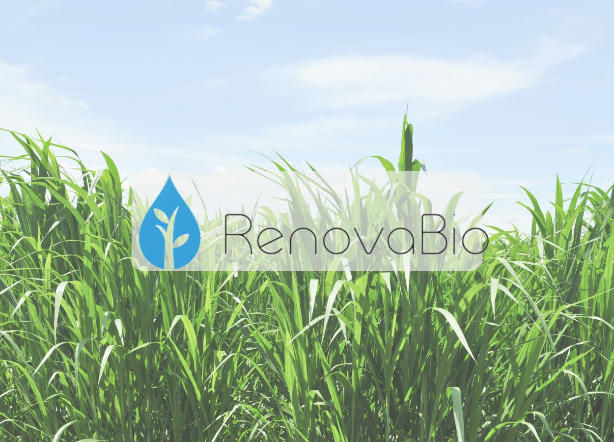 Orplana busca viabilizar a inclusão de produtores de cana no projeto RenovaBio