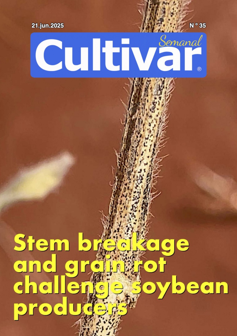 Cultivar Semanal 35