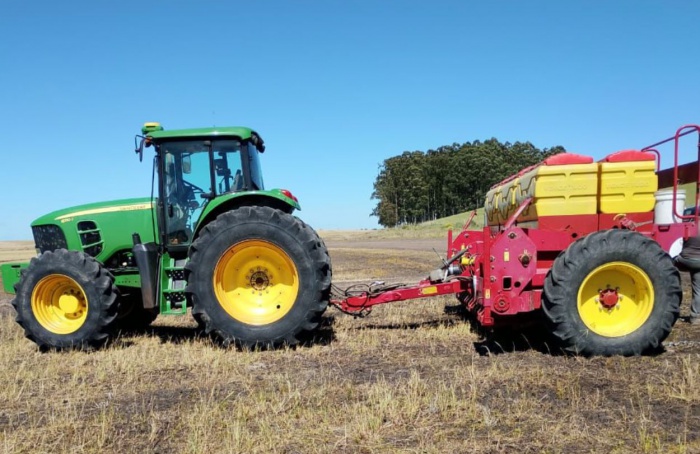 Semeadura do arroz no RS chega a 57% da área total