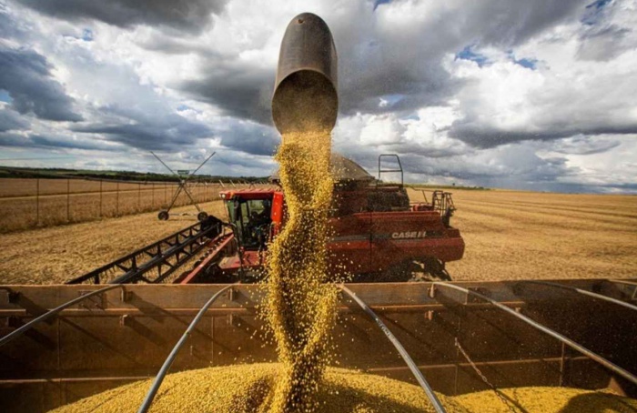 Goiás bate recorde na produção de soja da safra 2024/25