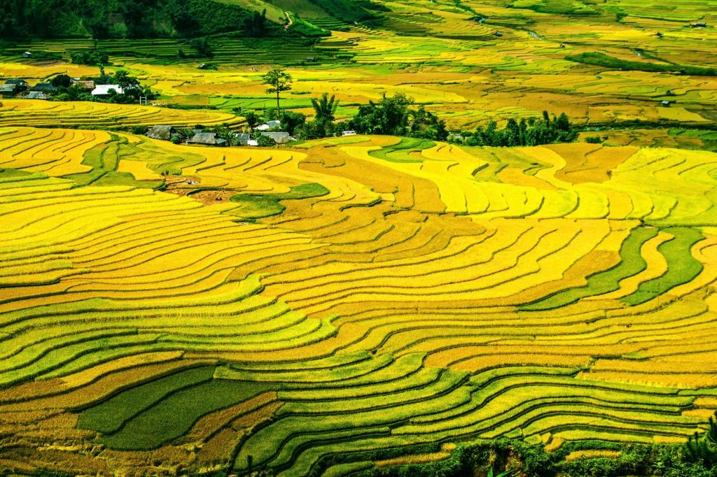 AgroBravo levará produtores brasileiros para conhecer agricultura Chinesa