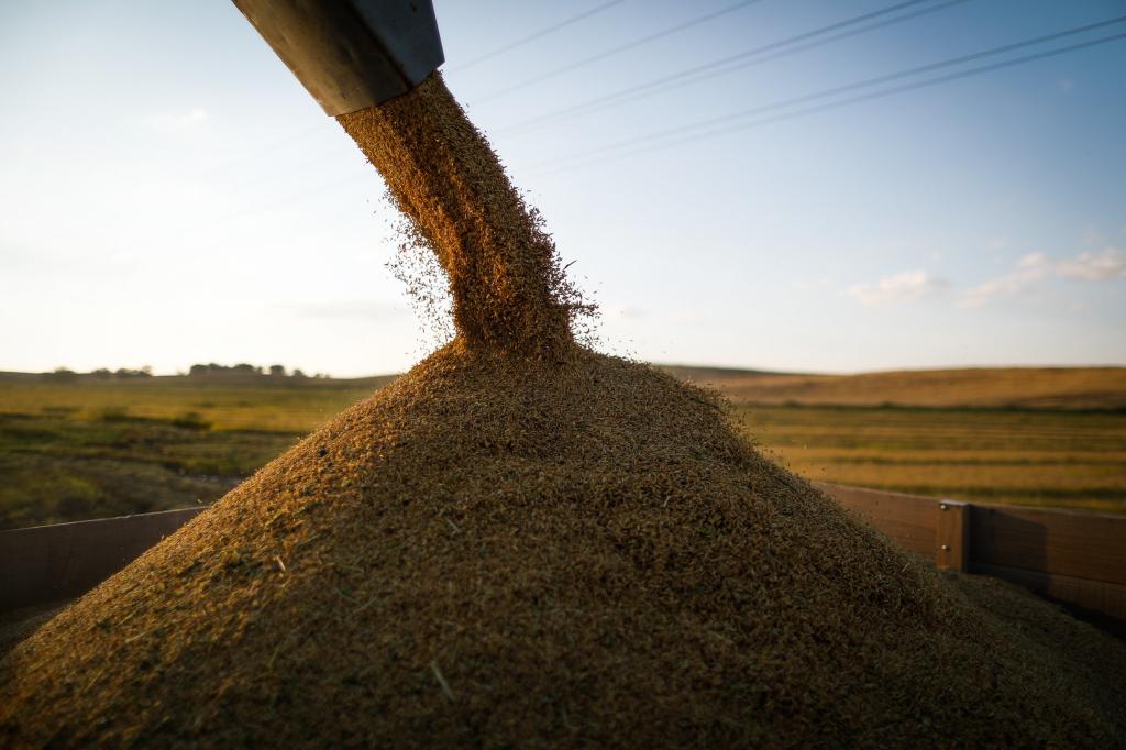 Exportações do agronegócio brasileiro batem recorde de janeiro a julho de 2020