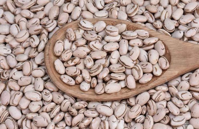 Embrapa lança feijão biofortificado BRS FC409