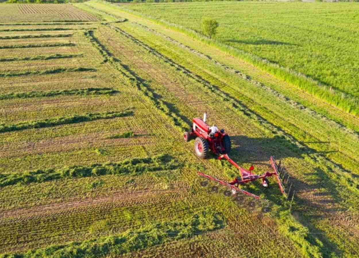Estoques de CPR alcançam R$ 597 bilhões em setembro
