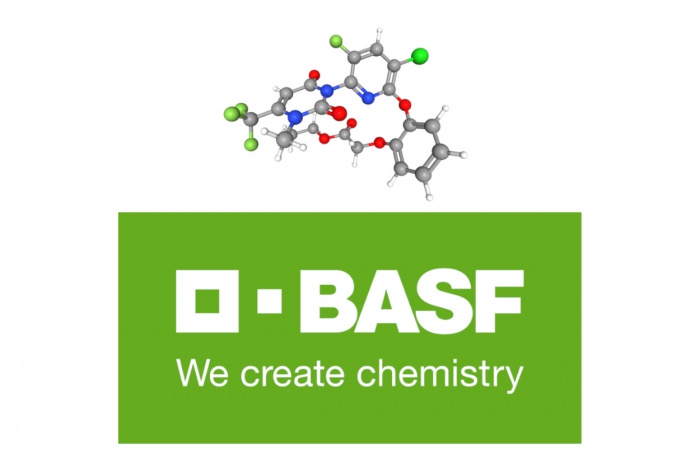 BASF inicia registro do herbicida Replexor Active