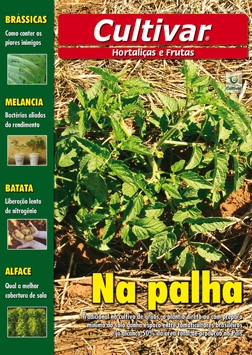 Na palha