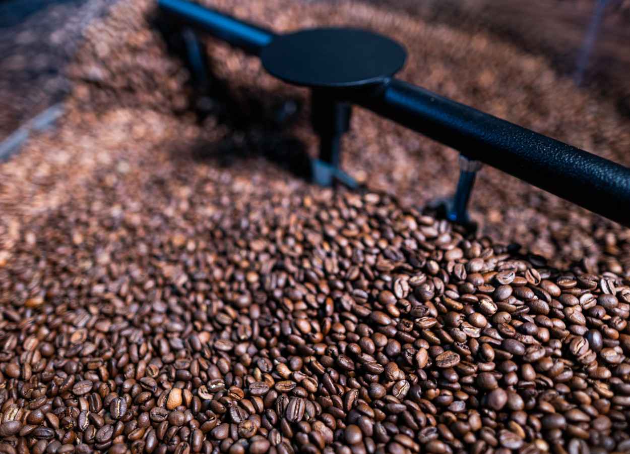 Foto: Wenderson Araujo, CNA