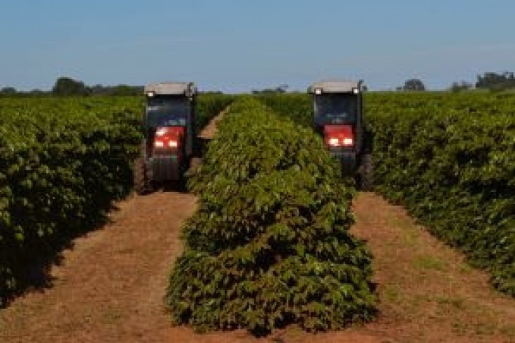Agritech troca tratores por sacas de café