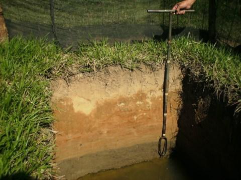 Estudo destaca importância agronômica da profundidade efetiva do solo