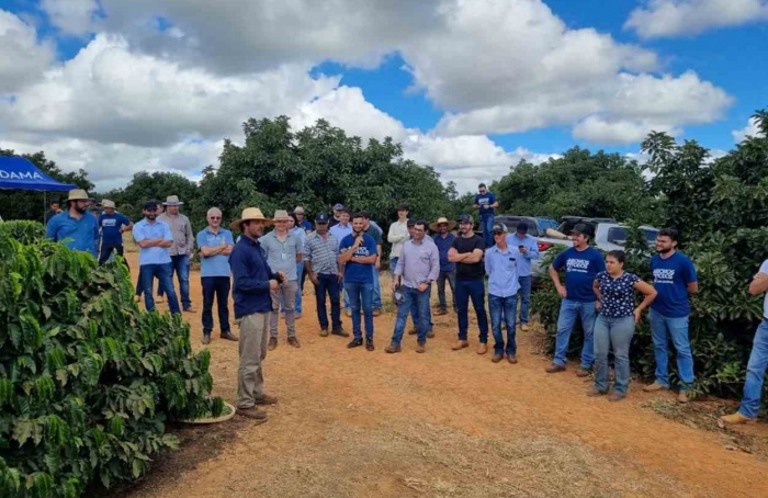 Projeto de validação de novas cultivares de café para Minas Gerais tem colheita iniciada