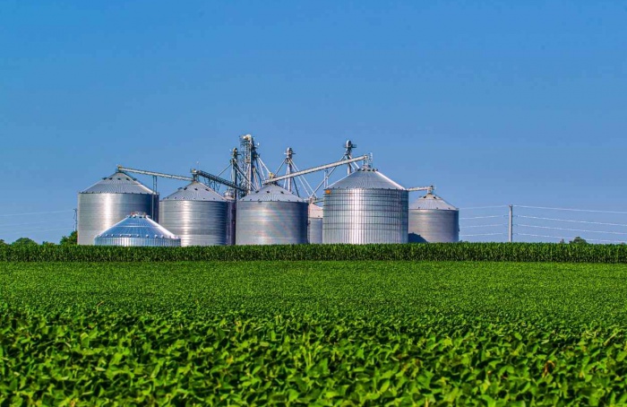 Agroindústria paulista cresceu 6,9% em 2024, avalia a Fiesp