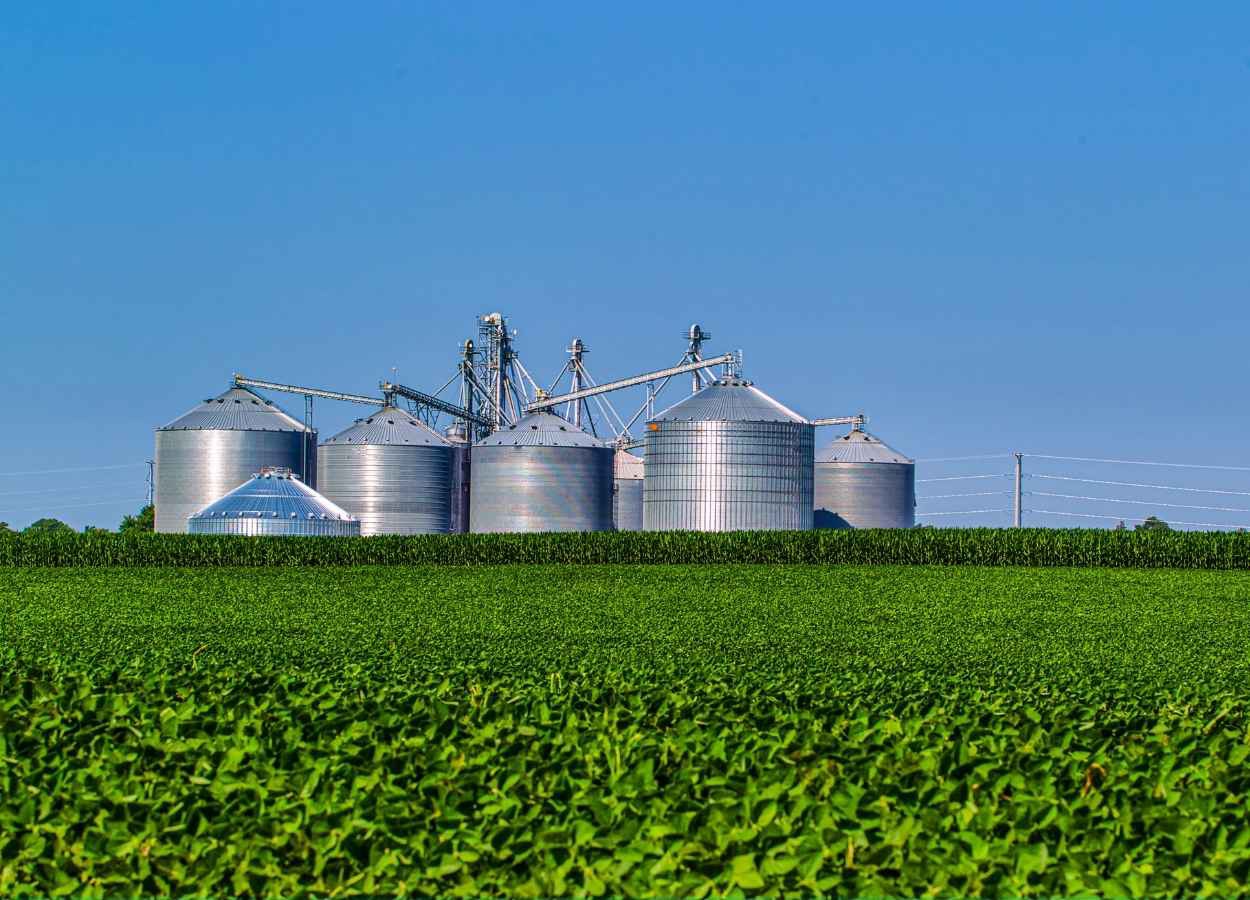 Agroindústria paulista cresceu 6,9% em 2024, avalia a Fiesp