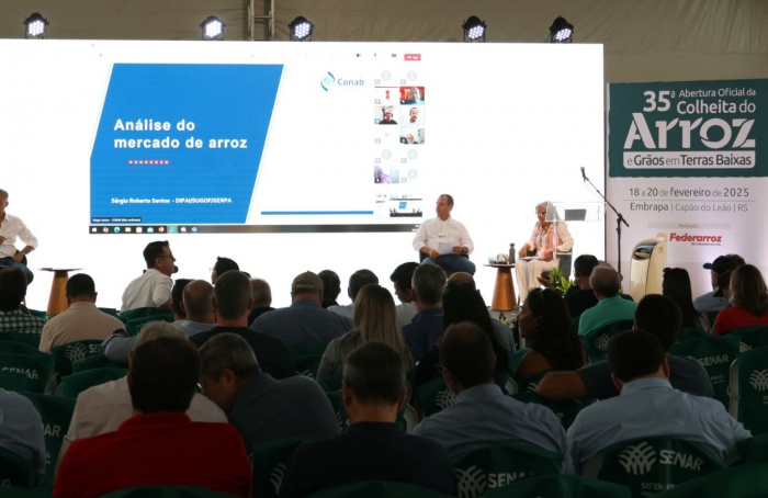 Setor arrozeiro busca soluções para crise econômica