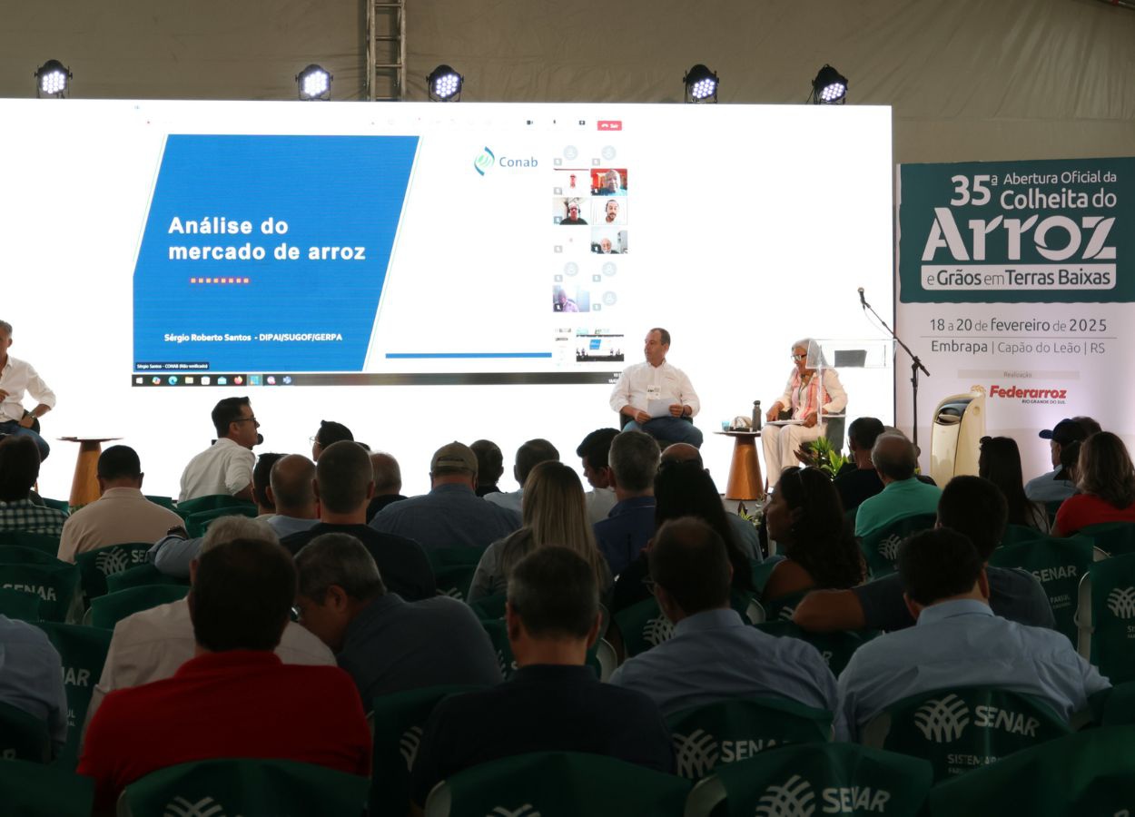 Setor arrozeiro busca soluções para crise econômica