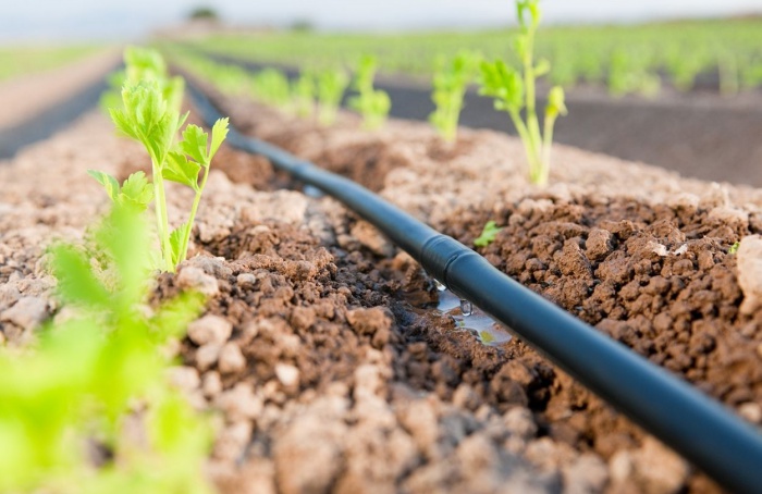 Sistema de irrigação eleva a produtividade agrícola