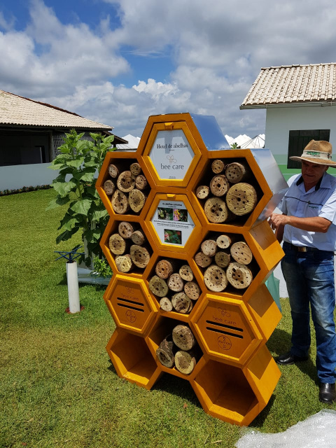 Hotéis de abelhas são alternativas para esses polinizadores se abrigarem no entorno das lavouras