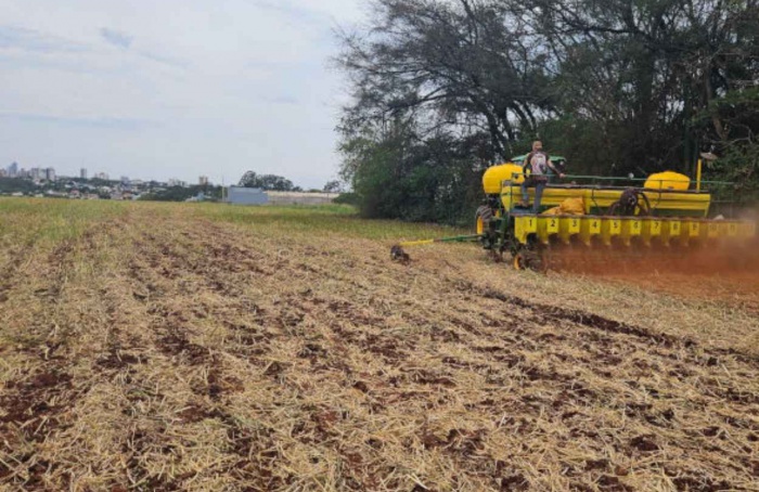 Semeadura de soja da safra 2025/26 começa no Oeste do Paraná