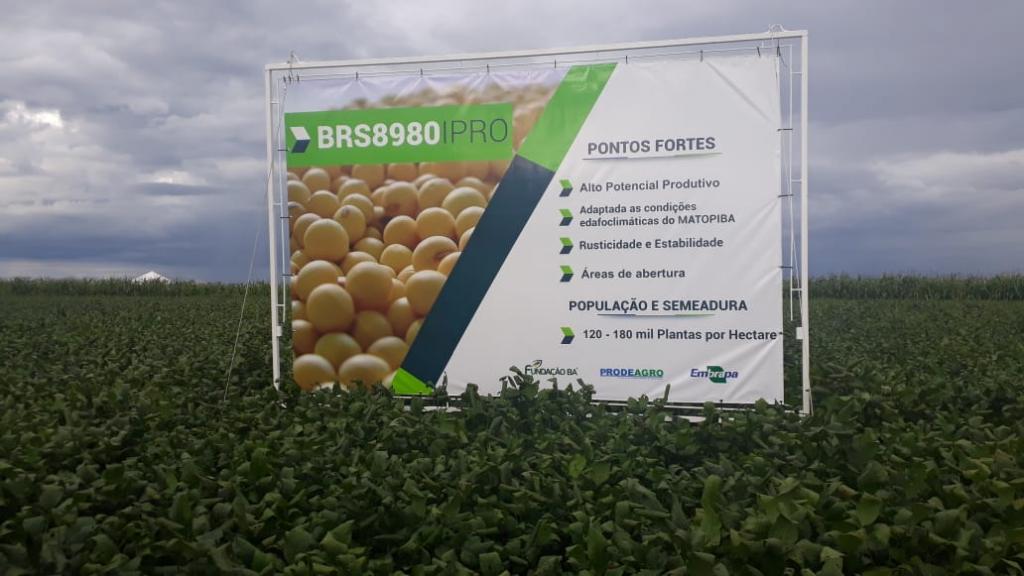 Embrapa lança cultivar de soja para região do Matopiba na Bahia Farm Show