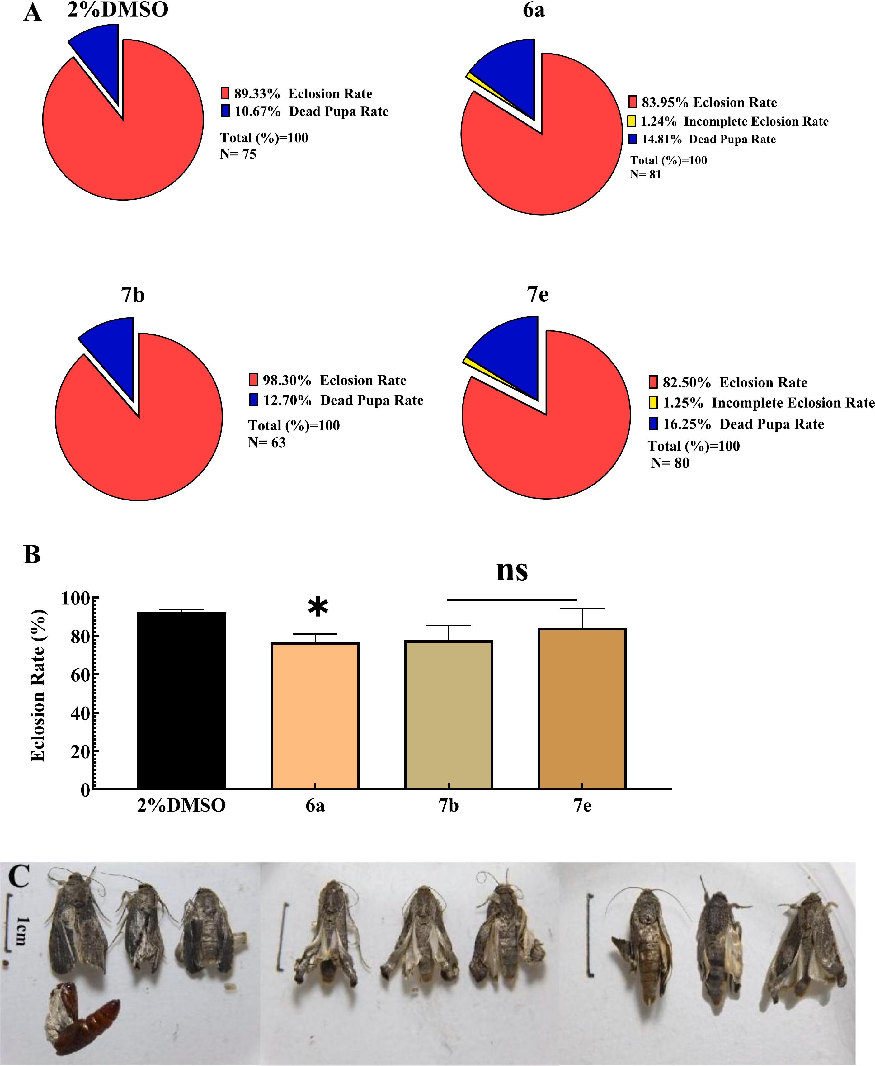 Taxa de eclosão, taxa de eclosão incompleta, taxa de pupa morta (A) e diferenças significativas nas taxas de eclosão (B) de <i>S. frugiperda</i> após a injeção de novos inibidores de trealase; fenótipos anormais de adultos após a injeção de novos inibidores de trealase (C)