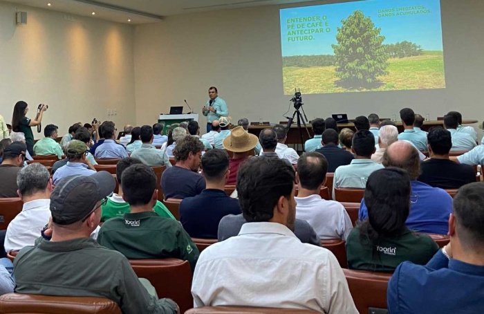 Safra de café apresenta menor rendimento em 2025