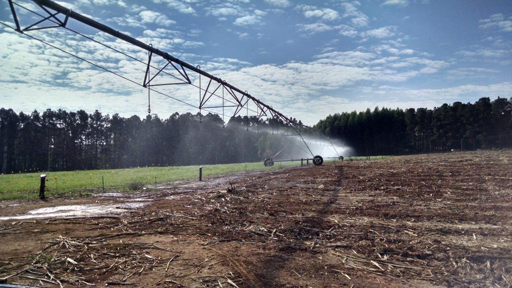 Pesquisa propõe plataforma de simulação de sistemas agrícolas brasileiros