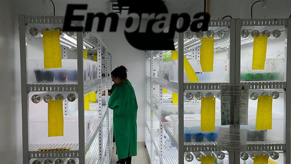 Foto: Marcos Oliveira