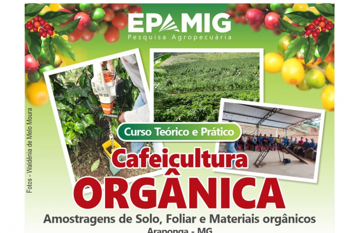 Curso da Epamig capacita cafeicultores em práticas de produção orgânica