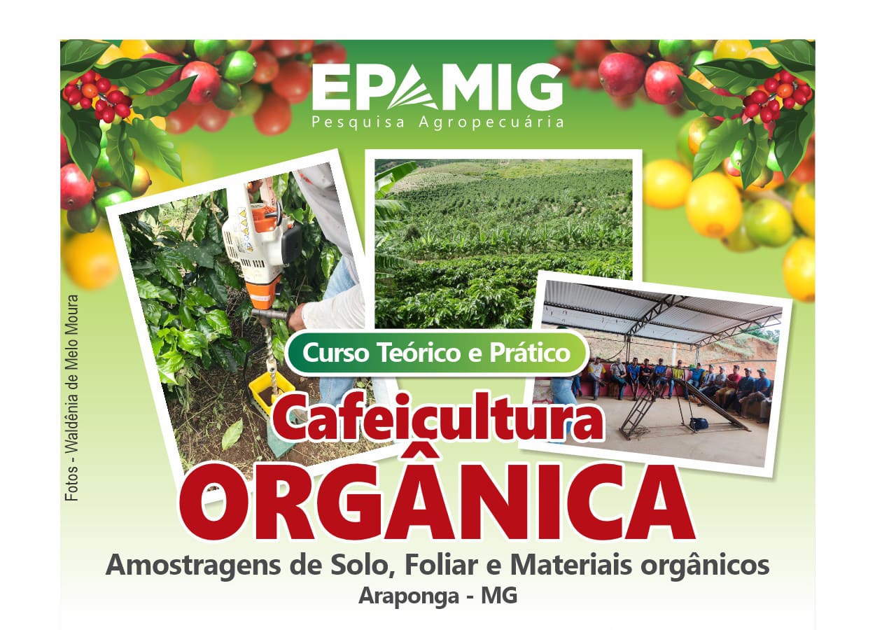 Curso da Epamig capacita cafeicultores em práticas de produção orgânica