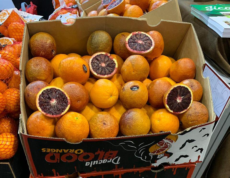 Confira 10 tendências nas culturas de laranja e tangerina para os próximos anos