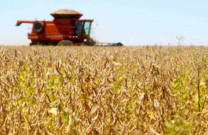 PR Safra 2025/26: soja avança com alerta para falta de chuva