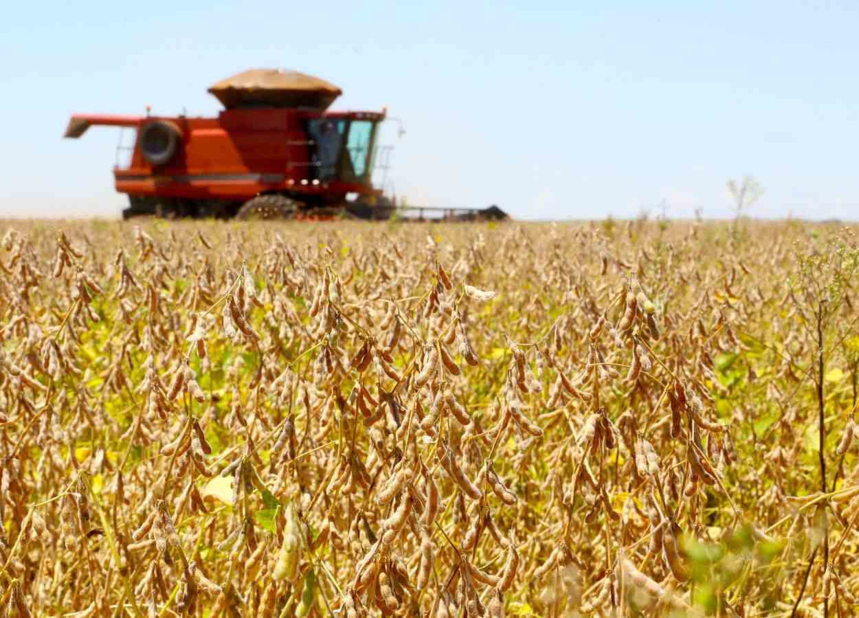 Erntebericht PR 2025/26: Sojabohnen trotz Warnungen vor ausbleibendem Regen im Wachstum.