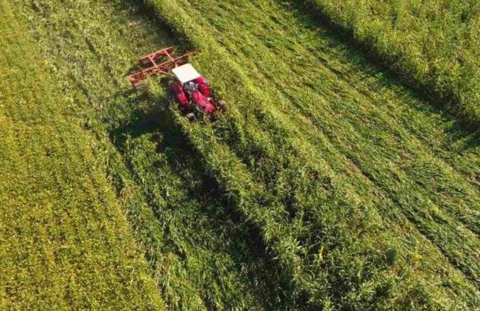 Conservação do solo e da água cresce no agro catarinense