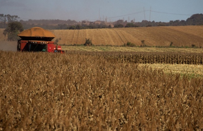 Seca reduz em 19,23% a produção de milho safrinha do Mato Grosso do Sul