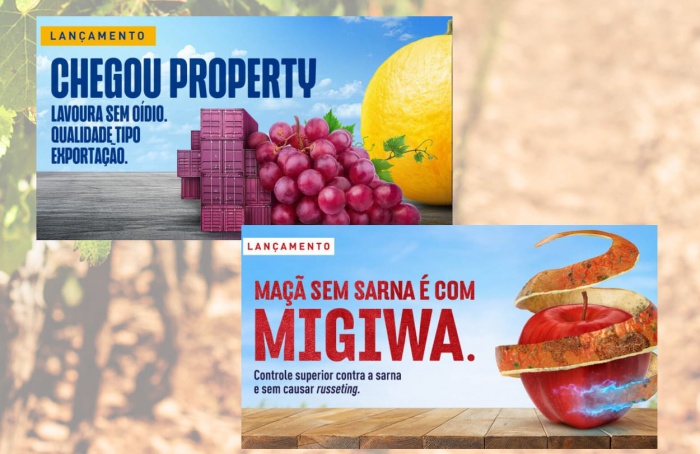 Ihara lança fungicidas inéditos para maçã, uva, melão e manga