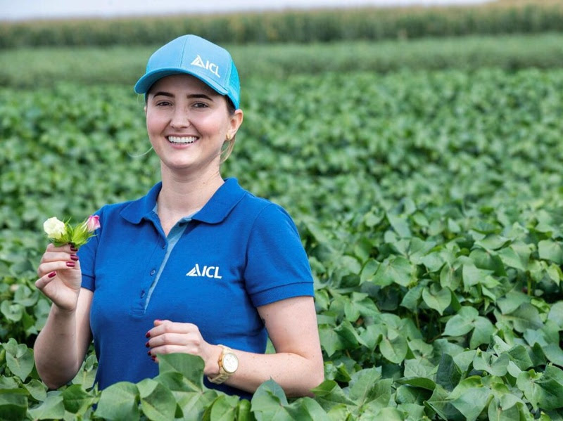 ICL lança tecnologia exclusiva para uso em tratamento de sementes industrial