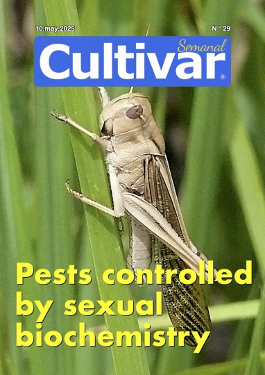 Cultivar Semanal 29