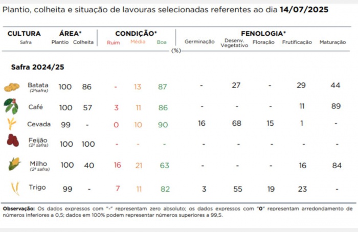 PR Safra 2024/25: geadas comprometem a produtividade do milho