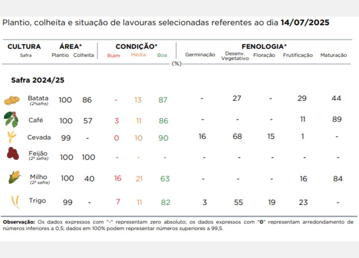Cosecha PR 2024/25: Las heladas comprometen la productividad del maíz