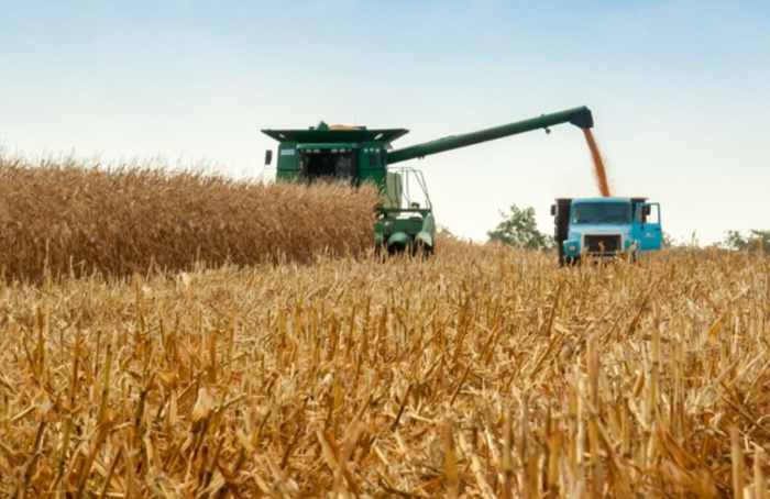 Crédito rural movimenta R$ 433 bi na agricultura empresarial