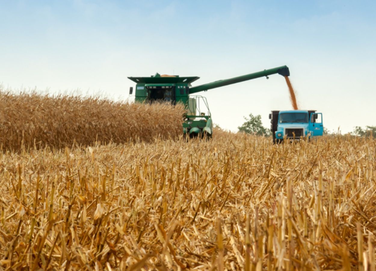 Crédito rural movimenta R$ 433 bi na agricultura empresarial