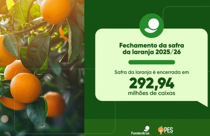 Safra de laranja 2025/26 fecha abaixo da projeção inicial