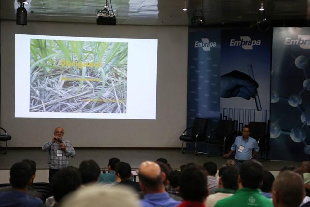 Comportamento ambiental de defensivos na tomada de decisão da lavoura de cana