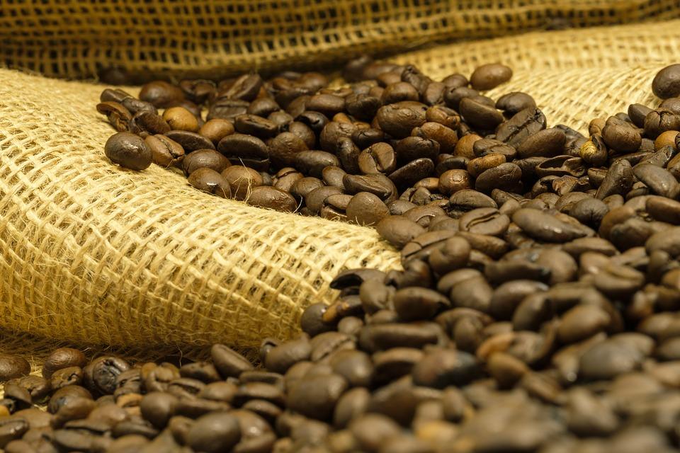 Cafeicultores afetados por geadas precisam de planejamento financeiro