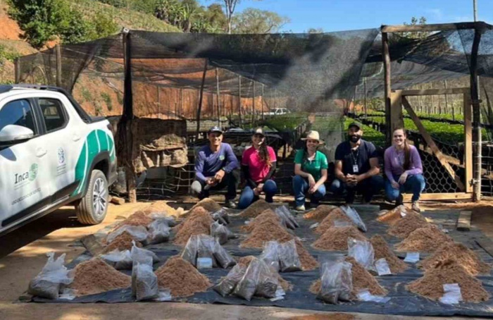 Substratos sustentáveis reduzem custos na cafeicultura capixaba