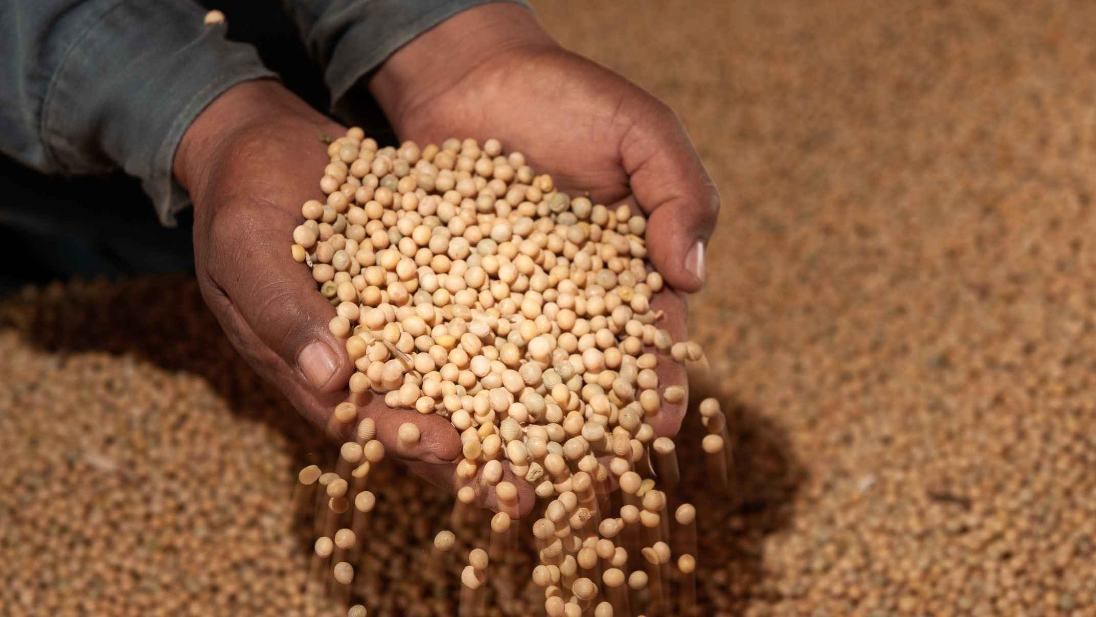 Complexo soja responde por 73% das exportações do agro goiano no 1º semestre de 2023