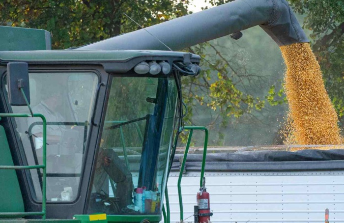 Campeões de produtividade no milho inverno serão revelados dia 26