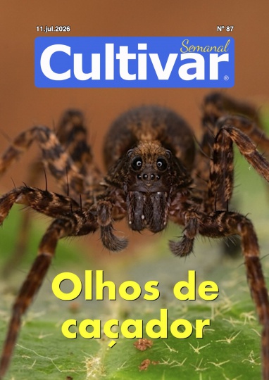 Cultivar Semanal 87