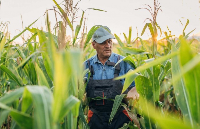 Mudanças climáticas preocupam 86% dos produtores, diz ABMRA